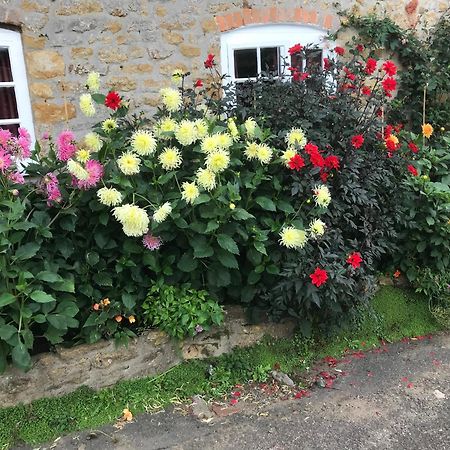 The Cottage アボッツバリー エクステリア 写真