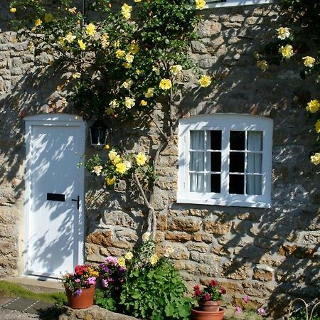 The Cottage アボッツバリー エクステリア 写真