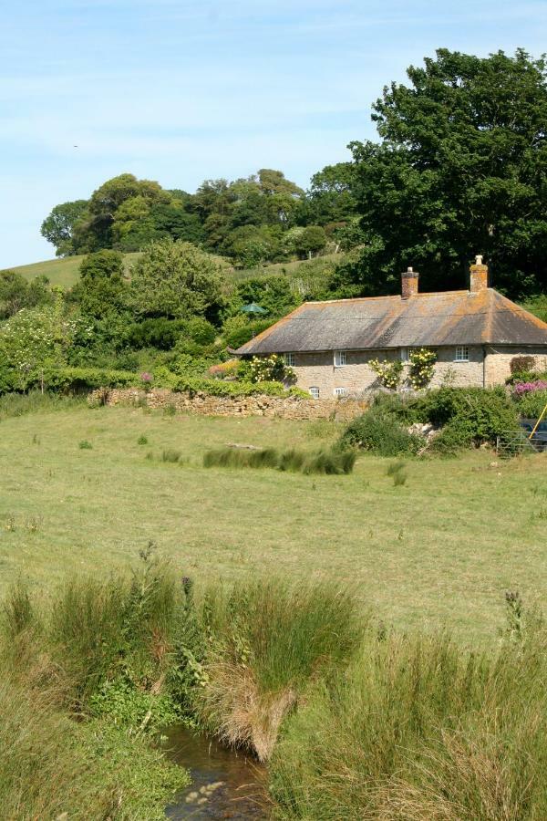The Cottage アボッツバリー エクステリア 写真