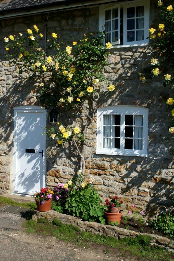 The Cottage アボッツバリー エクステリア 写真