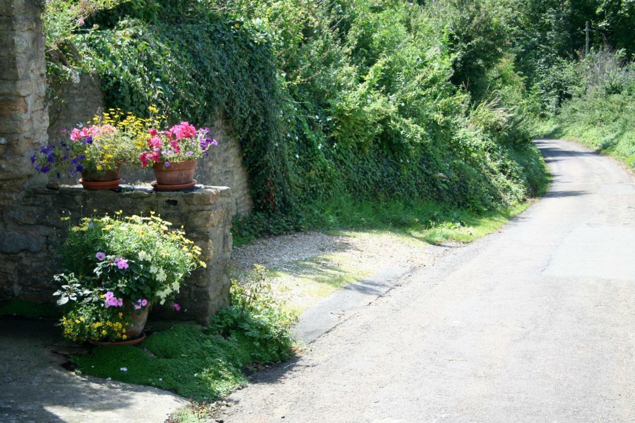The Cottage アボッツバリー エクステリア 写真